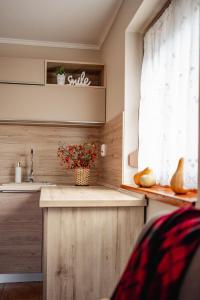 Kuchyň nebo kuchyňský kout v ubytování Kotyogó Apartmanok, Bogács