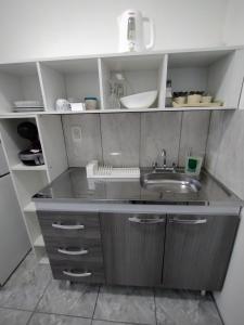 eine Küche mit einer Spüle und einer Arbeitsplatte in der Unterkunft Mendoza Estudio Urbano in Mendoza