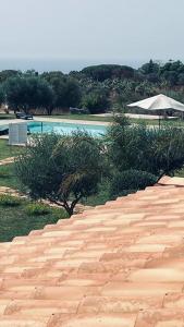 Bazén v ubytování B&B Casale Pietrantica Tropea nebo v jeho okolí