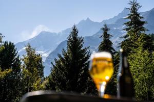 Üldine mäevaade või majutusasutusest Hotel Allalin Saas-Fee pildistatud vaade