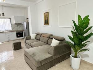 a living room with a couch and a plant at Victorias apartment Tirane in Tirana