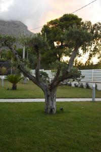 Afbeelding uit fotogalerij van Villa dei Pioppi Deluxe in Carini