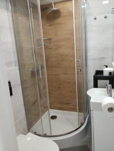 een douche in een badkamer met een toilet en een wastafel bij Apartament RESET 2 pokojowy in Ustroń