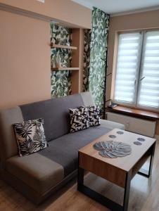 een woonkamer met een bank en een salontafel bij Apartament RESET 2 pokojowy in Ustroń