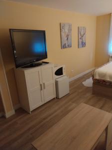 1 dormitorio con TV de pantalla plana y 1 cama en Un Rincón Tranquilo., en Manzanares el Real