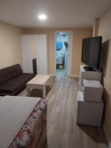 Habitación con cama, TV y sofá. en Un Rincón Tranquilo., en Manzanares el Real