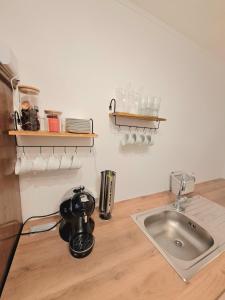 a kitchen with a sink and a counter with aether at Somnium - Appartements Südsteiermark - Stammhaus in Weitersfeld an der Mur