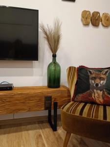 uma sala de estar com uma televisão e uma cadeira em Klimatyczne Apartamenty Złoty Stok em Złoty Stok
