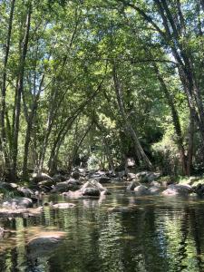 une rivière avec des arbres et des rochers dans l'eau dans l'établissement El latido del Tiétar, à Lanzahita
