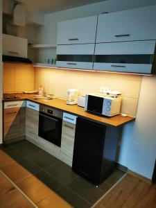 a kitchen with a counter with a microwave and a sink at Danube Apartman in Budapest