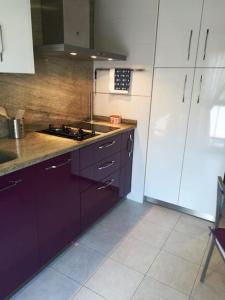 薩龍的住宿－Apartamento El Ferial，厨房配有紫色橱柜和炉灶
