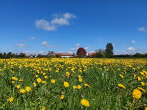 Fotografie z fotogalerie ubytování ILDHU INN v destinaci Kværndrup + 9 fotografií
