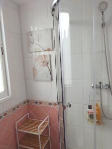 um chuveiro com uma porta de vidro na casa de banho em El Coqueto de Vallecas em Madri