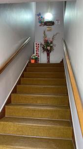 a set of stairs with a vase of flowers at Hospedaje Rios in Osorno