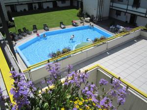 Bazén v ubytování Fichtenwald - Hundefreundlich, Sauna, Pool, Dachterrasse, Wald & See nebo v jeho okolí + 12 fotografií