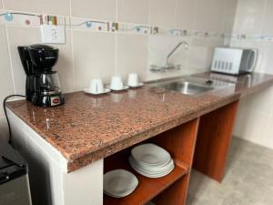 a kitchen with a counter with a sink and a mixer at VIRREYES HOTEL in Potosí