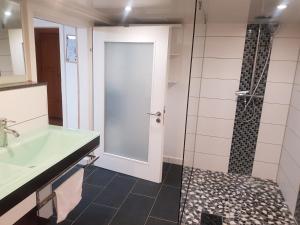 een badkamer met een douche, een wastafel en een glazen deur bij Natur in Blankenhain