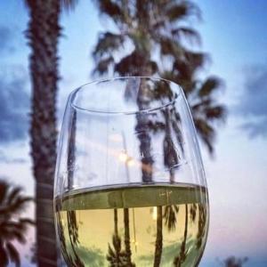 un verre de vin avec des palmiers en arrière-plan dans l'établissement Vue imprenable sur mer, à Saint Pierre La Mer