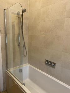 a shower with a glass door in a bathroom at Spacious 2 bedrooms Apartment Woolwich Arsenal in Woolwich