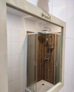 a shower in a bathroom with a mirror at Inaczej in Niczonów