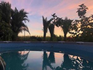 einen Pool mit Palmen und Sonnenuntergang in der Unterkunft CASA RURAL EN BOSQUE DE PALMERAS in Alberche del Caudillo