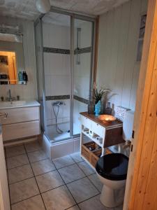 ein Bad mit einer Dusche, einem WC und einem Waschbecken in der Unterkunft Ferienidyll Alte Eichen in Storkow