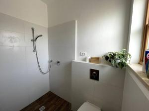 a white bathroom with a shower and a toilet at Quiet cottage in the pastoral Galilee hills in Hararit