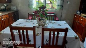 a dining room table with a plant in a vase on it at Terra Chã Cottage,FEEL Home, in São Vicente