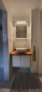 a bathroom with a sink and a mirror at Freienwohnung 80qm, 4 Personen mit Kamin in Pinneberg