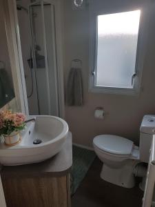 ein Bad mit einem Waschbecken, einem WC und einem Fenster in der Unterkunft Meadow bay Hayling Island-Iona in South Hayling