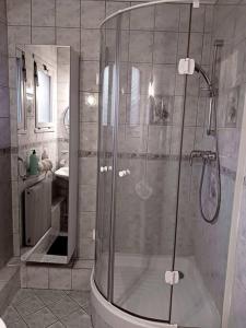 ein Bad mit einer Dusche und einem Waschbecken in der Unterkunft Pau centre vue sur les Pyrénées pour 2 nuits au minimum in Pau