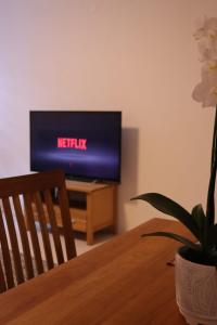 - une télévision dans le salon avec une table et une plante dans l'établissement Apartment Niela, à Dinkelsbühl