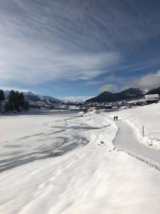 Eine Gruppe von Menschen, die im Schnee spazieren gehen in der Unterkunft Sonnendurchflutete Familienwohnung in Platta