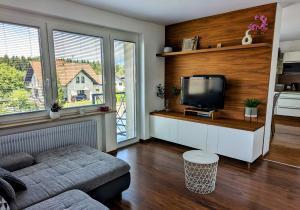 a living room with a couch and a tv at Domen's cozy rentals in Kranj