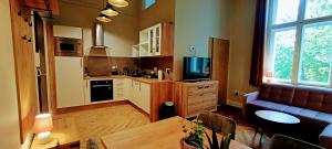 Η κουζίνα ή μικρή κουζίνα στο Drzewna Apartamenty - Wrocławska +23 φωτογραφίες
