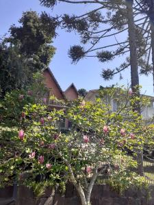 a tree with pink roses in front of a house at Chalé ensolarado in Lages