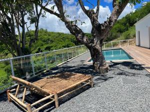 un banc à côté d'un arbre à côté d'une piscine dans l'établissement Bienvenue à la Villa Ifè, au Gosier