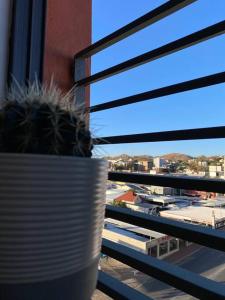 a plant in a pot sitting on a window sill at Yolé Apartment - City 101 in Windhoek