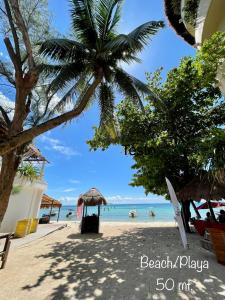 uma praia com uma palmeira e o oceano em Miranda Beach em Playa del Carmen