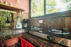 a kitchen counter with two sinks and a blender at Brigitte's Ranch in Cahuita