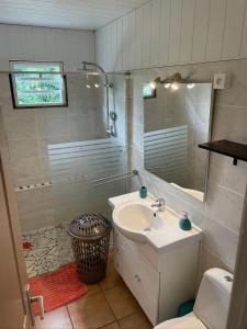 a bathroom with a sink and a mirror and a toilet at Residence Les Palmiers in La Trinité