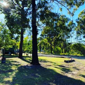 a park with trees and a bench in the grass at BERTHA caravan River Heads in River Heads