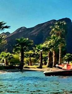 een zwembad met palmbomen en een berg bij Rockin-River House, waterfront! 