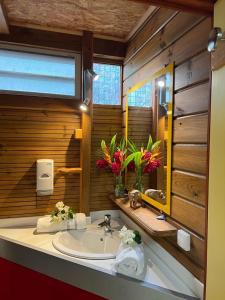 巴葉馬霍的住宿－Fetay Jaune，一间带水槽和镜子的浴室
