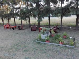 un grupo de mesas de picnic y bancos en un parque en Las Casuarinas Claromeco en Balneario Claromecó