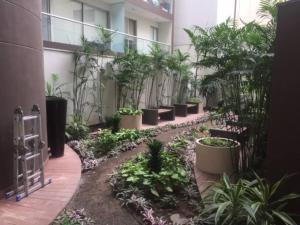 un cortile con molte piante in un edificio di Acogedor Departamento de un cuarto en Barranco... a Lima