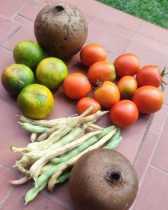 un montón de frutas y verduras en una mesa en Selvatica EcoHostal, en San Carlos