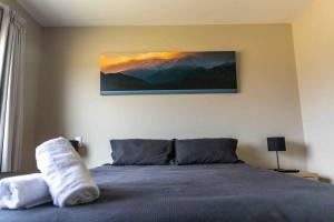 蒂阿瑙的住宿－New 2 Bedroom Apartment，卧室配有一张床,墙上挂有绘画作品