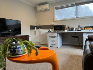 a living room with a kitchen and a table with a plant at Tamahere Lifestyle in Tamahere