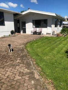 a dog standing in the yard of a house at Horseinaround in Cambridge